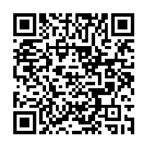 张仙身后的几个黑甲护卫呼啦啦将许馨倩包围在内二维码生成