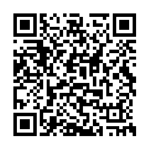 张卫东从重江鹤那里了解了一些众人的修炼情况二维码生成