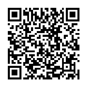 张卫东就感觉出周遭的元气疯狂朝冰皇玉鼠上聚集而来二维码生成