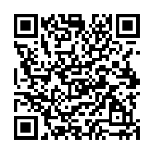 张卫东既然要掩饰自己的修为和身份就得遵守这里的规矩二维码生成