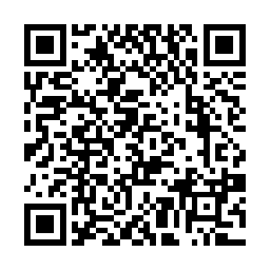 张卫东的人缘在派出所大部分人里还是很谦虚低调的二维码生成