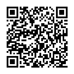 张启涛找遍了整个宿舍楼都找不到王秀琴的身影二维码生成