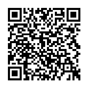 张嘉树深深沉浸在痛苦和恐怖的记忆中不可自拔二维码生成