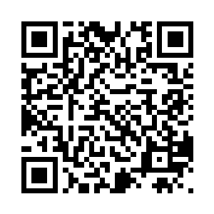 张嘉树的大脑中的确封印着一块小小的二维码生成