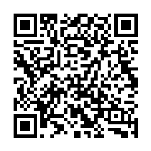 张均和华布衣师徒二人砸进去的钱就超过了三百亿美元二维码生成