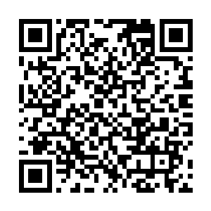 张均就感觉那枚银色的代表肉身神通的莲花颤抖了一下二维码生成