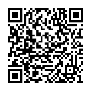 张坚之大人已经从奉天抽调了骨干军官一百多人二维码生成