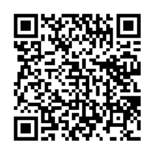 张大导演眼睛放光地看着那个被一众美女们包围着的男子二维码生成