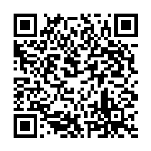 张大牛应该被关在二十五层到二十七层之间的某个房间二维码生成