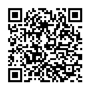 张大牛等觉醒者刚刚从快要崩塌的地底密室中逃出来二维码生成