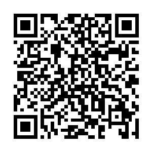 张大着嘴巴有些不敢相信的看着格里斯跟那只大章鱼二维码生成