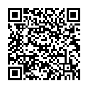 张天合还是知道市委书记办公室和他本人公开的号码的二维码生成