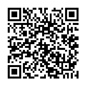 张天豪还不至于对陆为民的这番表现生出什么嫉妒之心二维码生成