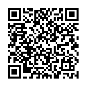 张娅的心在滴血……那可是大把大把的美金啊啊啊啊二维码生成