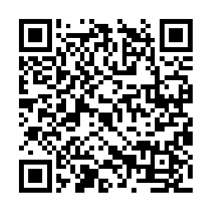 张家就差不多和整个太夏和天下华族捆绑在了一起二维码生成