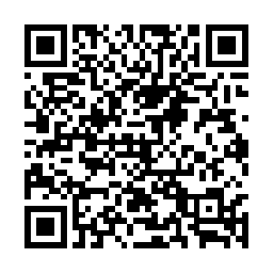 张小凡不着痕迹的看了一眼正趴在窗口干呕的易扬二维码生成