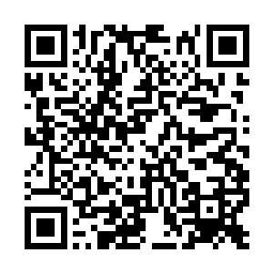 张小凡也没敢再提这场审判没给他辩解机会的事情二维码生成