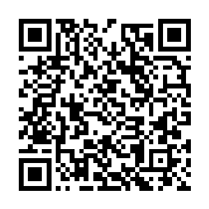 张小凡却是说出了一个连小学生都知道的治疗方法二维码生成