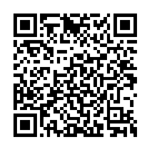 张小凡和白素的关系比和她的关系还要更近一步二维码生成