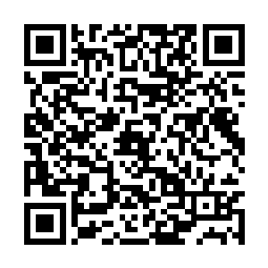 张小凡就想到了李甄妮为什么要拍下这瓶人参汁液二维码生成