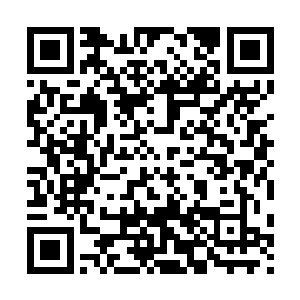 张小凡就被欣姐肚子里这个是男是女都不知道的小东西给抢走了二维码生成