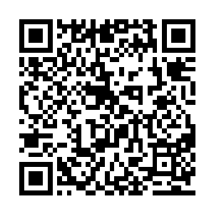 张小凡很怀疑自己以后的幸福生活还有没有着落二维码生成