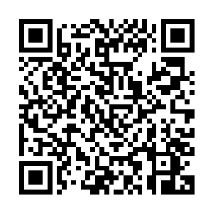 张小凡把刚吃到嘴里还没来得及下咽的一块羊肉重新吐回了锅里二维码生成