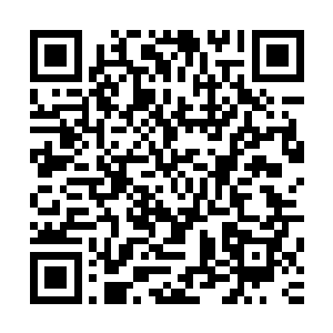 张小凡看到欣姐和花悠悠去房间里研究欣姐肚子里的孩子去了二维码生成