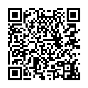 张小凡看到阿龙的这一个高鞭腿被自己挡下来之后二维码生成