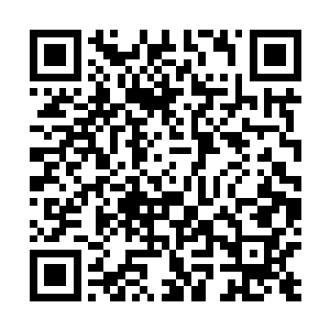 张小凡虽然不会在这种事情上对沈冰和花悠悠有什么不满二维码生成