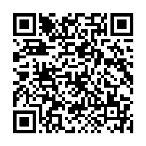 张小凡走到正带着十几个保安和光头对峙的姜美玲身边二维码生成