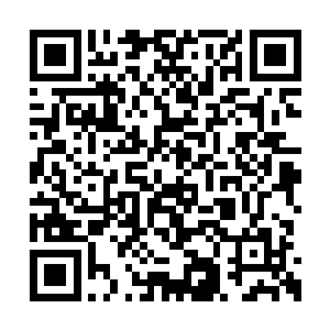 张小凡都怀疑莫珊珊是不是个还没长大的小孩子二维码生成