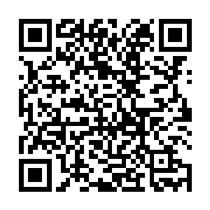 张小才和刘宇二人都是有些疑惑的看了眼旁边的刘小嫣二维码生成