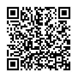 张山几乎把自己这边除了马晓波和牛用之外的所有人都给带上了二维码生成