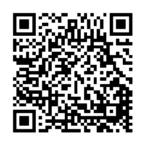 张山和严歌的进展很迅速……两人竟然旁若无人的拥吻起来二维码生成