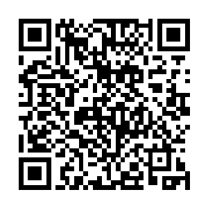 张山就拼着想要爆发自己力量也要把兄弟们给护出去的时候二维码生成