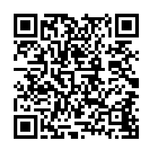 张师兄都快怀疑以前夸他是天才的人都在讽刺他了二维码生成