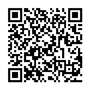 张帝和刘文正估计年纪小一些的就很陌生或者不知道了二维码生成