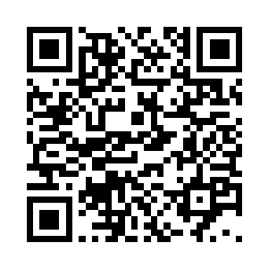 张延枫也是用那渴望的目光看着楚枫二维码生成