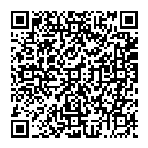 张德田也是将手机拿起来看了几次确定不是有什么消息和电话之后才敢确定真的是地面在抖动二维码生成