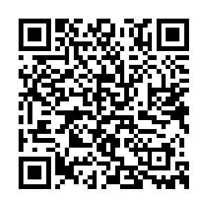 张志天身上那种超脱年龄的自信也把张铁感染了二维码生成