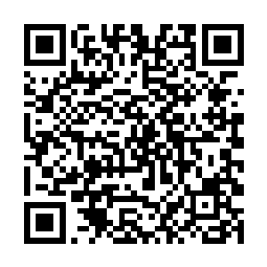 张成元就是要在林雨馨的面前好好的羞辱柳逸尘一番二维码生成