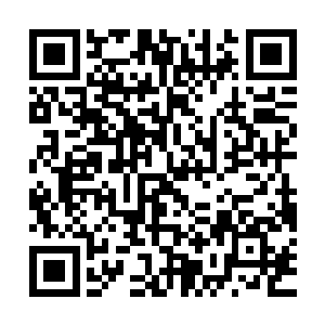 张成到处跑关系花钱如流水……已经把自己先前存的钱折腾一空二维码生成