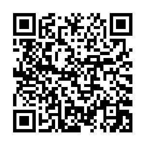 张文斌想起晚上能让妻子如愿以偿地见到心中的偶像二维码生成