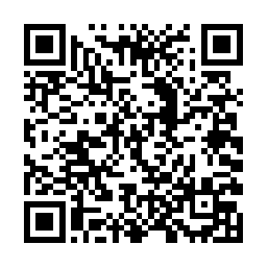 张方平老神在在的靠在椅子上道双手叠交在肚子上道二维码生成