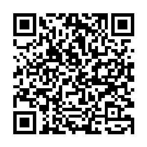 张无界除了和师兄一起曾经去过西方魔界试炼过之外二维码生成