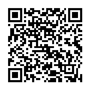 张晓晴怎么就跟这样的一个女人成了莫逆之交的好朋友二维码生成