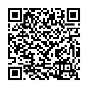 张智可不会把发生在婉约美容会所的事情说出来二维码生成