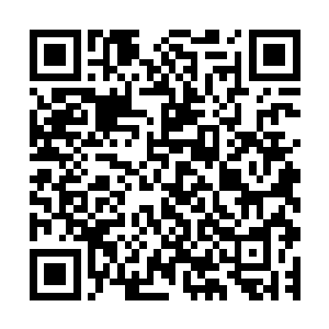 张智可不认为自己帅到了那种一个眼神就深深折服了她的地步二维码生成