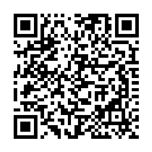 张智真不希望老板知道自己已把她的双胞胎妹妹抱上二维码生成